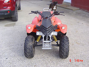 QUAD BIKE image 1